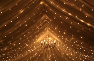 Elisha Services Limited Lighting  Elisha Services Limited Lighting